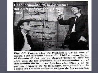 Descubrimiento de la estructura
del ADN por Watson y Crick:
1953
 
