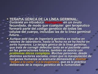 TERAPIA GÉNICA DE LA LÍNEA GERMINAL:TERAPIA GÉNICA DE LA LÍNEA GERMINAL:
Consiste en introducirConsiste en introducir transgenestransgenes en un óvuloen un óvulo
fecundado, de modo que cualquier gen terapéuticofecundado, de modo que cualquier gen terapéutico
formará parte del código genético de todas lasformará parte del código genético de todas las
células del cuerpo, incluidas las de la línea germinalcélulas del cuerpo, incluidas las de la línea germinal
futura.futura.
Aunque este tipo de ingeniería genética se realiza enAunque este tipo de ingeniería genética se realiza en
ratones de laboratorio, hasta la fecha no se ha hecho enratones de laboratorio, hasta la fecha no se ha hecho en
seres humanos. La terapia génica de la línea germinal,seres humanos. La terapia génica de la línea germinal,
que trata de corregir defectos tanto en el paciente comoque trata de corregir defectos tanto en el paciente como
en las generaciones futuras, también se asocia conen las generaciones futuras, también se asocia con
problemas éticos complejosproblemas éticos complejos. Muchas personas, desde. Muchas personas, desde
distintos sectores sociales, creen que la manipulación dedistintos sectores sociales, creen que la manipulación de
los genes humanos se acercaría demasiado alos genes humanos se acercaría demasiado a diseñardiseñar
“bebés a la carta” o a la eugenesia“bebés a la carta” o a la eugenesia, que es la práctica, que es la práctica
deliberada de la mejora genética de la humanidad.deliberada de la mejora genética de la humanidad.
 