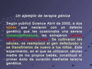 Según publicó Science Abril de 2000, a dos
bebés que nacieron con un defecto
genético que les ocasionaba una severa
inmunodeficiencia, les extrajeron células
madre de médula ósea. Se cultivaron las
células, se reemplazó el gen defectuoso y
se transfirieron de nuevo a los niños. Este
experimento, en el que se utilizaron células
madre de los propios bebés, constituyó el
primer éxito de curación mediante terapia
genética.
Un ejemplo de terapia génica
 