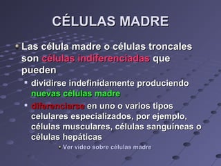 CÉLULAS MADRECÉLULAS MADRE
Las célula madre o células troncalesLas célula madre o células troncales
sonson células indiferenciadascélulas indiferenciadas queque
puedenpueden

dividirse indefinidamente produciendodividirse indefinidamente produciendo
nuevas células madrenuevas células madre

diferenciarsediferenciarse en uno o varios tiposen uno o varios tipos
celulares especializados, por ejemplo,celulares especializados, por ejemplo,
células musculares, células sanguíneas océlulas musculares, células sanguíneas o
células hepáticascélulas hepáticas
Ver vídeo sobre células madreVer vídeo sobre células madre
 