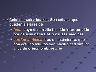 Células madre fetales:Células madre fetales: Son células queSon células que
pueden aislarse depueden aislarse de

fetosfetos cuyo desarrollo ha sido interrumpidocuyo desarrollo ha sido interrumpido
por causas naturales o causas médicaspor causas naturales o causas médicas

cordón umbilicalcordón umbilical tras el nacimiento, quetras el nacimiento, que
son células adultas con plasticidad similarson células adultas con plasticidad similar
a las de origen embrionarioa las de origen embrionario
 