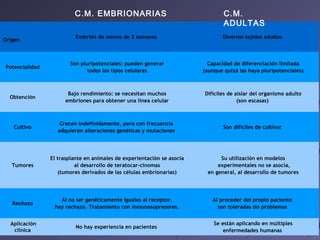 Origen
Embrión de menos de 2 semanas Diversos tejidos adultos
Potencialidad
Son pluripotenciales: pueden generar
todos los tipos celulares
Capacidad de diferenciación limitada
(aunque quizá las haya pluripotenciales)
Obtención
Bajo rendimiento: se necesitan muchos
embriones para obtener una línea celular
Difíciles de aislar del organismo adulto
(son escasas)
Cultivo
Crecen indefinidamente, pero con frecuencia
adquieren alteraciones genéticas y mutaciones
Son difíciles de cultivar
Tumores
El trasplante en animales de experientación se asocia
al desarrollo de teratocar­cinomas
(tumores derivados de las células embrionarias)
Su utilización en modelos
experimentales no se asocia,
en general, al desarrollo de tumores
Rechazo
Al no ser genéticamente iguales al receptor,
hay rechazo. Tratamiento con inmunosupresores.
Al proceder del propio paciente
son toleradas sin problemas
Aplicación
clínica
No hay experiencia en pacientes
Se están aplicando en múltiples
enfermedades humanas
C.M. EMBRIONARIAS C.M.
ADULTAS
 