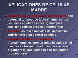APLICACIONES DE CÉLULASAPLICACIONES DE CÉLULAS
MADREMADRE
Testar toxinas y probar nuevos fármacosTestar toxinas y probar nuevos fármacos concon
potencial terapéutico (actualmente se usanpotencial terapéutico (actualmente se usan
las líneas celulares cancerígenas paralas líneas celulares cancerígenas para
analizar posibles drogas antitumorales).analizar posibles drogas antitumorales).
EstudiarEstudiar las fases iniciales del desarrollolas fases iniciales del desarrollo
embrionario y su control genético.embrionario y su control genético.
Terapias celulares y trasplantesTerapias celulares y trasplantes
.Actualmente existen terapias basadas en el.Actualmente existen terapias basadas en el
uso de células madre adultas para repararuso de células madre adultas para reparar
órganos y tejidos dañados con resultadosórganos y tejidos dañados con resultados
prometedores.prometedores.
 