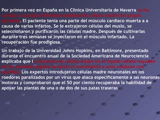 Por primera vez en España en la Clínica Universitaria de Navarra se ha
curado un corazón infartado implantando células madre del propio
paciente. El paciente tenía una parte del músculo cardíaco muerta a a
causa de varios infartos. Se le extrajeron células del muslo, se
seleccionaron y purificaron las células madre. Después de cultivarlas
durante tres semanas se inyectaron en el músculo infartado. La
recuperación fue prodigiosa.
Un trabajo de la Universidad Johns Hopkins, en Baltimore, presentado
durante el encuentro anual de la Sociedad Americana de Neurociencia
explicaba que la inyección de células madre en el líquido cefalorraquídeo
de los animales lograba devolver el movimiento a unos roedores con
parálisis. Los expertos introdujeron células madre neuronales en los
roedores paralizados por un virus que ataca específicamente a las neuronas
motoras y comprobaron que el 50 por ciento recuperaba la habilidad de
apoyar las plantas de una o de dos de sus patas traseras
 