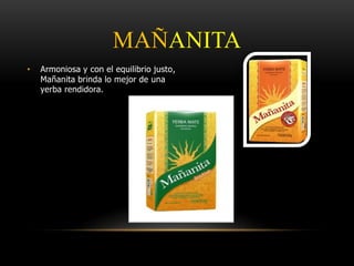 MAÑANITA 
• Armoniosa y con el equilibrio justo, 
Mañanita brinda lo mejor de una 
yerba rendidora. 
 