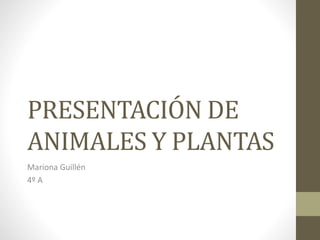 PRESENTACIÓN DE
ANIMALES Y PLANTAS
Mariona Guillén
4º A
 