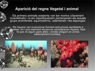 Diverses glaciacions 