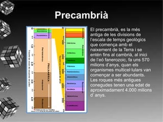 El precambrià, es la més antiga de les divisions de l’escala de temps geològics que comença amb el naixement de la Terra i se entén fins al cambrià, al inici de l’eó fanerozoic, fa uns 570 milions d’anys, quan els organismes multicel·lulars van començar a ser abundants. Les roques més antigues conegudes tenen una edat de aproximadament 4.000 milions d’ anys. Precambrià 