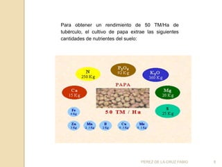 Para obtener un rendimiento de 50 TM/Ha de
tubérculo, el cultivo de papa extrae las siguientes
cantidades de nutrientes del suelo:




                                  PEREZ DE LA CRUZ FABIO   8
 