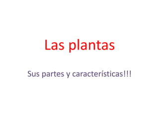 Las plantas 
Sus partes y características!!! 
 