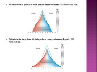  Piràmide de la població dels països desenvolupats: 4.549 milions hab.
 Piràmide de la població dels països menys desenvolupats: 777
milions hab.
 