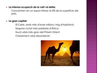  La intensa ocupació de la vall i el delta:
Concentren en un espai inferior al 5% de la superfície del
país.
 La gran capital:
El Caire, amb més d'onze milions i mig d'habitants.
Segona ciutat més poblada d'Àfrica
Nucli urbà més gran del Pròxim Orient
Creixement urbà desordenat.
 