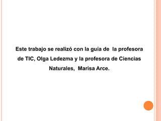 Este trabajo se realizó con la guía de la profesora
de TIC, Olga Ledezma y la profesora de Ciencias
Naturales, Marisa Arce.

 