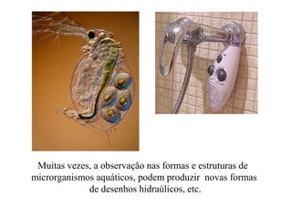 Muitas vezes, a observação nas formas e estruturas de
microrganismos aquáticos, podem produzir novas formas
de desenhos hidraúlicos, etc.
 