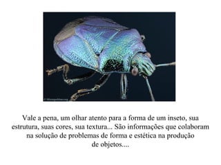 Vale a pena, um olhar atento para a forma de um inseto, sua
estrutura, suas cores, sua textura... São informações que colaboram
na solução de problemas de forma e estética na produção
de objetos....
 