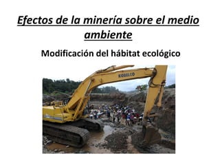 Efectos de la minería sobre el medio
ambiente
Modificación del hábitat ecológico
 