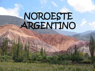 NOROESTE 
ARGENTINO 
 