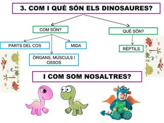 3. COM I QUÈ SÓN ELS DINOSAURES?
ÒRGANS, MÚSCULS IÒRGANS, MÚSCULS I
OSSOSOSSOS
MIDAMIDAPARTS DEL COSPARTS DEL COS
QUÈ SÓN?QUÈ SÓN?
RÈPTILSRÈPTILS
I COM SOM NOSALTRES?
COM SÓN?COM SÓN?
 