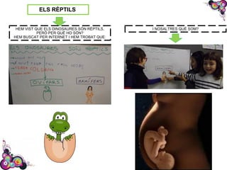 ELS RÈPTILS
HEM VIST QUE ELS DINOSAURES SÓN RÈPTILS,
PERÒ PER QUÈ HO SÓN?
HEM BUSCAT PER INTERNET I HEM TROBAT QUE:
I NOSALTRES QUÈ SOM?
 