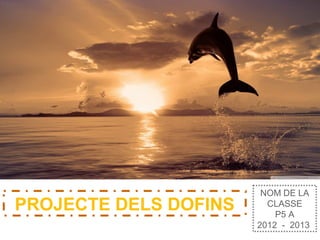 NOM DE LA
CLASSE
P5 A
2012 - 2013
PROJECTE DELS DOFINS
 