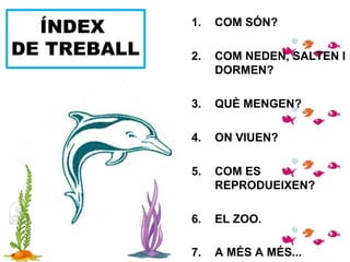 ÍNDEX
DE TREBALL
1. COM SÓN?
2. COM NEDEN, SALTEN I
DORMEN?
3. QUÈ MENGEN?
4. ON VIUEN?
5. COM ES
REPRODUEIXEN?
6. EL ZOO.
7. A MÉS A MÉS...
 