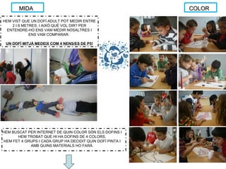 MIDAMIDA
HEM VIST QUE UN DOFÍ ADULT POT MEDIR ENTRE
2 I 8 METRES. I AIXÒ QUÈ VOL DIR? PER
ENTENDRE-HO ENS VAM MEDIR NOSALTRES I
ENS VAM COMPARAR:
UN DOFÍ MITJÀ MEDEIX COM 4 NENS/ES DE P5!
COLORCOLOR
HEM BUSCAT PER INTERNET DE QUIN COLOR SÓN ELS DOFINS I
HEM TROBAT QUE HI HA DOFINS DE 4 COLORS.
HEM FET 4 GRUPS I CADA GRUP HA DECIDIT QUIN DOFÍ PINTA I
AMB QUINS MATERIALS HO FARÀ.
 