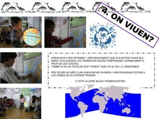 4. ON
VIUEN?
HEM BUSCAT PER INTERNET I HEM DESCOBERT QUE ELS DOFINS VIUEN ALS
MARS I ALS OCEANS I ES TROBEN EN AIGÜES TEMPERADES, NORMALMENT A
PROP DE LES COSTES.
TAMBÉ HI HA UN TIPUS DE DOFÍ “ROSAT” QUE VIU AL RIU, A L’AMAZONES!
PER VEURE-HO MÉS CLAR VAM AGAFAR UN MAPA I VAM ENGANXAR DOFINS A
LES ZONES ON ELS PODEM TROBAR!
A TOTA LA ZONA BLAVA TROBEM DOFINS!
 