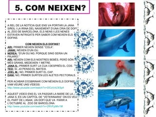 5. COM NEIXEN?
A REL DE LA NOTÍCIA QUE ENS VA PORTAR LA JANA
SIÑOL I LA IRINA DEL NAIXEMENT D’UNA CRIA DE DOFÍ
AL ZOO DE BARCELONA, ELS NENS I LES NENES
ESTAVEN INTRIGATS PER SABER COM NEIXEN ELS
DOFINS.
COM NEIXEN ELS DOFINS?
ARI: PRIMER NEIXEN SENSE “COLA”.
JÀNIK: NÉIXEN D’UN OU.
NEREA: “D’UN OU NO, PORQUE SINO SERIA UN
PÁJARO.”
ARI: NÉIXEN COM ELS NOSTRES BEBÉS, PERÒ SÓN
MÉS GRANS, MEDEIXEN 1 METRE.
JANA S.: PRIMER SURT LA CUA I DESPRÉS EL COS.
TEO: SI, JO PENSO EL MATEIX.
JOEL M.: NO, PRIMER SURT EL CAP.
DANI: NO, PRIMER SURTEN LES ALETES PECTORALS.
PER ACABAR D’ESBRINAR COM NÉIXEN ELS DOFINS,
VAM VEURE UNS VÍDEOS:
http://www.youtube.com/watch?v=OCoVvU3t3p4
AQUEST VIDEO ENS EL VA PASSAR LA MARE DE LA
JANA S, ÉS UN CAPÍTOL DE “VETERINARIS” ON ES VEU
EL PART DE L’ANAK, UN DOFÍ QUE VA PARIR A
L’OCTUBRE AL ZOO DE BARCELONA:
http://www.youtube.com/watch?v=2RVFp9lIv1M
 