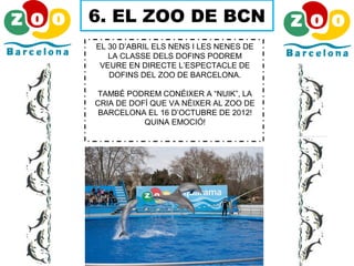 6. EL ZOO DE BCN
EL 30 D’ABRIL ELS NENS I LES NENES DE
LA CLASSE DELS DOFINS PODREM
VEURE EN DIRECTE L’ESPECTACLE DE
DOFINS DEL ZOO DE BARCELONA.
TAMBÉ PODREM CONÉIXER A “NUIK”, LA
CRIA DE DOFÍ QUE VA NÉIXER AL ZOO DE
BARCELONA EL 16 D’OCTUBRE DE 2012!
QUINA EMOCIÓ!
 