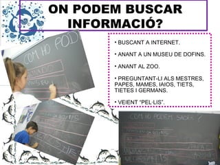 ON PODEM BUSCAR
INFORMACIÓ?
• BUSCANT A INTERNET.
• ANANT A UN MUSEU DE DOFINS.
• ANANT AL ZOO.
• PREGUNTANT-LI ALS MESTRES,
PAPES, MAMES, IAIOS, TIETS,
TIETES I GERMANS.
• VEIENT “PEL·LIS”.
 