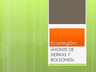 Ecorregiòn: 
«MONTE DE 
SIERRAS Y 
BOLSONES» 
 