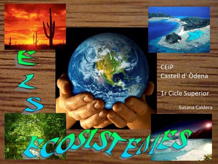 CEIP <br />Castell d' Òdena<br />1r Cicle Superior<br />Susana Caldera<br />