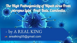 Hig Pathogenicit of Nipa viru Fro
pteropu lyle Frui Bat , Cambodi .
- by A REAL KING
arealking05@gmail.com
 