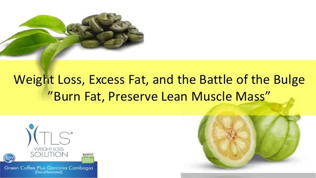 Does The Elliptical Build Muscle Or Burn Fat Does The Elliptical Build Muscle Or Burn Fat
