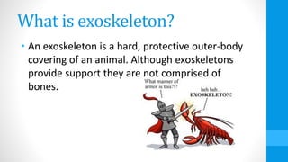 What is exoskeleton?
• An exoskeleton is a hard, protective outer-body
covering of an animal. Although exoskeletons
provide support they are not comprised of
bones.
 
