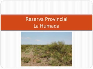 Reserva Provincial
La Humada
 