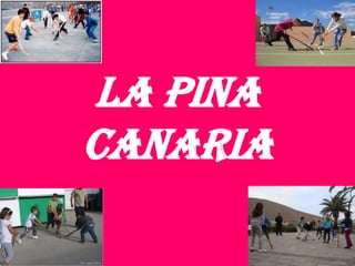 La Pina
Canaria
 