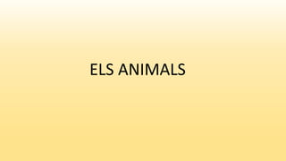 ELS ANIMALS
 