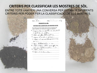 CRITERIS PER CLASSIFICAR LES MOSTRES DE SÒL.
ENTRE TOTS VAM FER UNA CONVERSA PER ESTABLIR DIFERENTS
CRITERIS PER PODER FER LA CLASSIFICACIÓ DE LES MOSTRES.
 