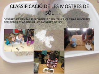 CLASSIFICACIÓ DE LES MOSTRES DE
SÒL
DESPRÉS DE PENSAR ELS CRITERIS CADA TAULA VA TRIAR UN CRITERI
PER PODER CLASSIFICAR LES MOSTRES DE SÒL.
 