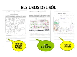 ELS USOS DEL SÒL
PER FER
CRÉIXER
ARBRES
PER
CONREAR
PER FER
EDIFICIS
 