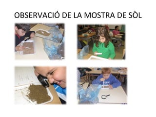 OBSERVACIÓ DE LA MOSTRA DE SÒL
 
