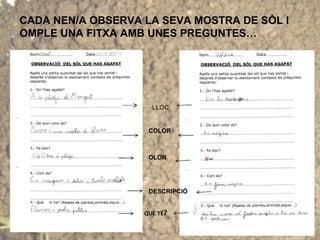 CADA NEN/A OBSERVA LA SEVA MOSTRA DE SÒL I
OMPLE UNA FITXA AMB UNES PREGUNTES…
LLOC
COLOR
OLOR
DESCRIPCIÓ
QUÈ TÉ?
 
