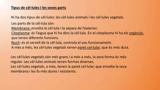Tipus de cèl·lules i les seves parts
Hi ha dos tipus de cèl·lules: les cèl·lules animals i les cèl·lules vegetals.
Les parts de la cèl·lula són:
Membrana: envolta la cèl·lula i la separa de l’exterior.
Citoplasma: és l’aigua que hi ha dins la cèl·lula. En el citoplasma hi ha els orgànuls,
que tenen diferents funcions.
Nucli: és el cervell de la cèl·lula, controla el seu funcionament.
A més a més, les cèl·lules vegetals tenen paret cel·lular, que és més dura.
Les cèl·lules vegetals són més grans i a més a més, la seva forma és més
regular. Les cèl·lules animals tenen formes diverses.
Les cèl·lules vegetals, a més, tenen la paret cel·lular, que envolta la seva
membrana i les fa més dures i resistents.
 