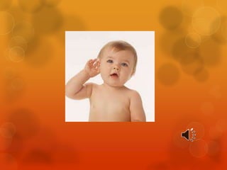 Power els transports