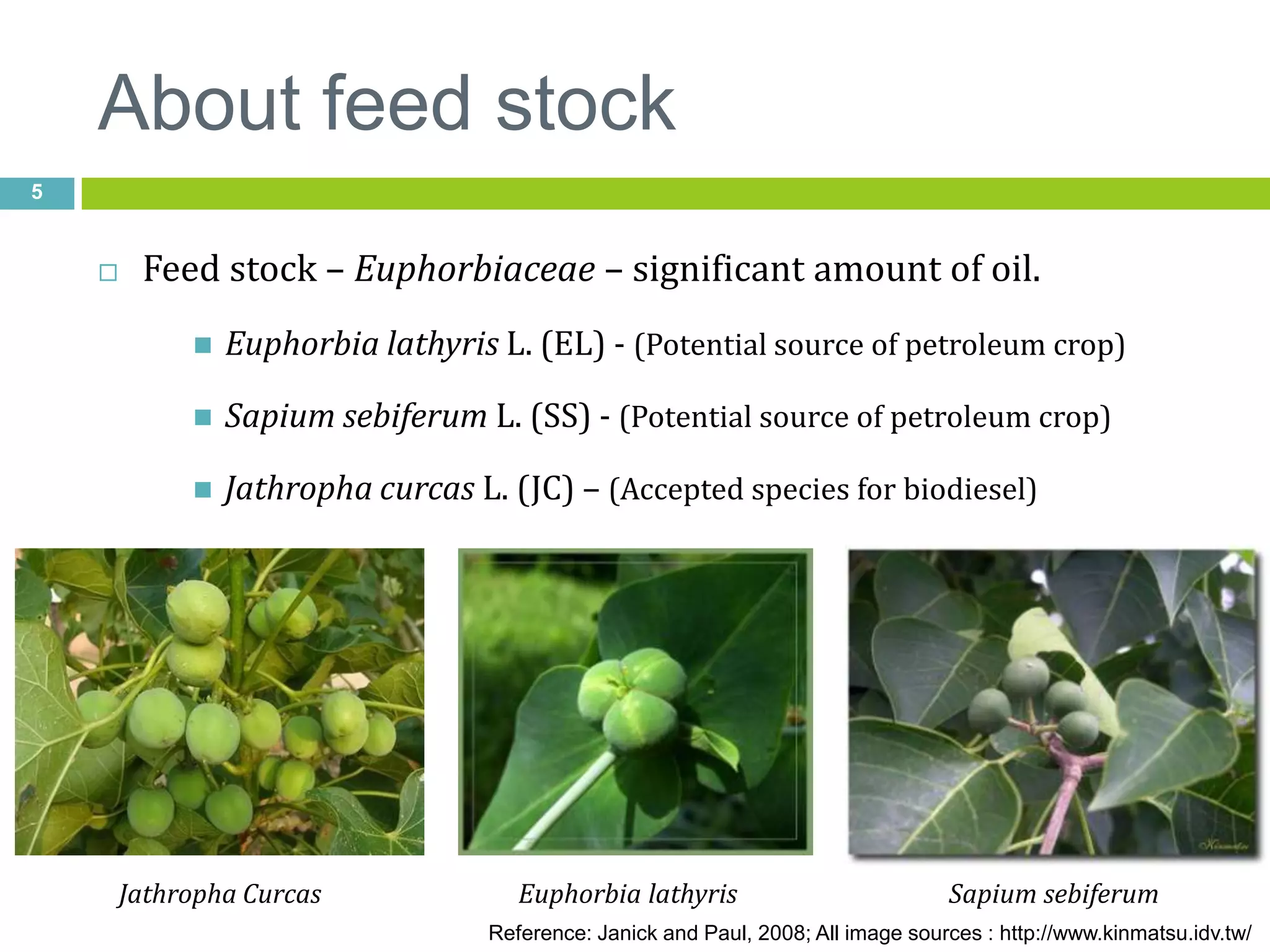Low polyunsaturated fatty acid (C18:2, C18:3)