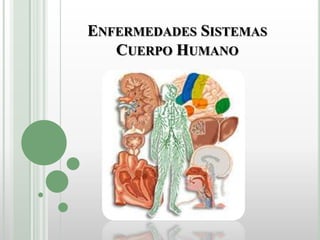 Esquema, Aparatos y sistemas del cuerpo humano