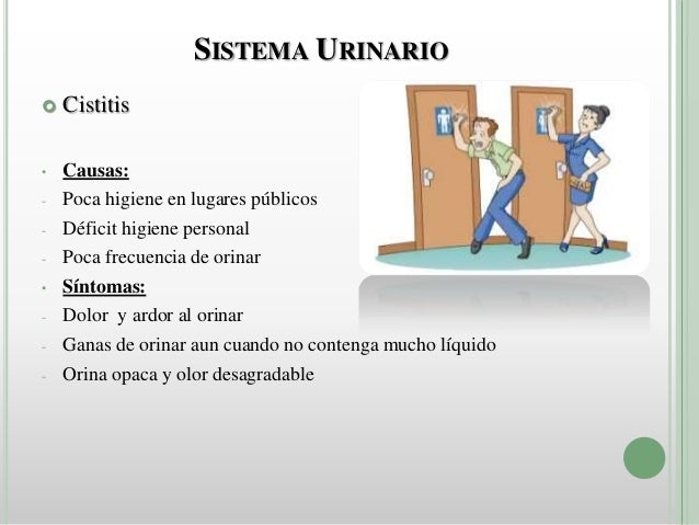 Ganas De Defecar Y Orinar Continuamente