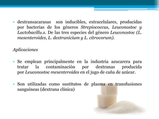 • dextransacarasas son inducibles, extracelulares, producidas
por bacterias de los géneros Strepiococcus, Leuconostoc y
Lactobacillu.s. De las tres especies del género Leuconostoc (L.
mesenteroides, L. dextranicium y L. citrovorum).
Aplicaciones
• Se emplean principalmente en la industria azucarera para
tratar la contaminación por dextranas producida
por Leuconostoc mesenteroides en el jugo de caña de azúcar.
• Son utilizadas como sustitutos de plasma en transfusiones
sanguíneas (dextrana clínica)
 