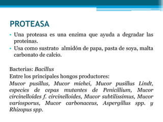 PROTEASA
• Una proteasa es una enzima que ayuda a degradar las
proteínas.
• Usa como sustrato almidón de papa, pasta de soya, malta
carbonato de calcio.
Bacterias: Bacillus
Entre los principales hongos productores:
Mucor pusillus, Mucor miehei, Mucor pusillus Lindt,
especies de cepas mutantes de Penicillium, Mucor
circinelloides f. circinelloides, Mucor subtilissimus, Mucor
variosporus, Mucor carbonaceus, Aspergillus spp. y
Rhizopus spp.
 